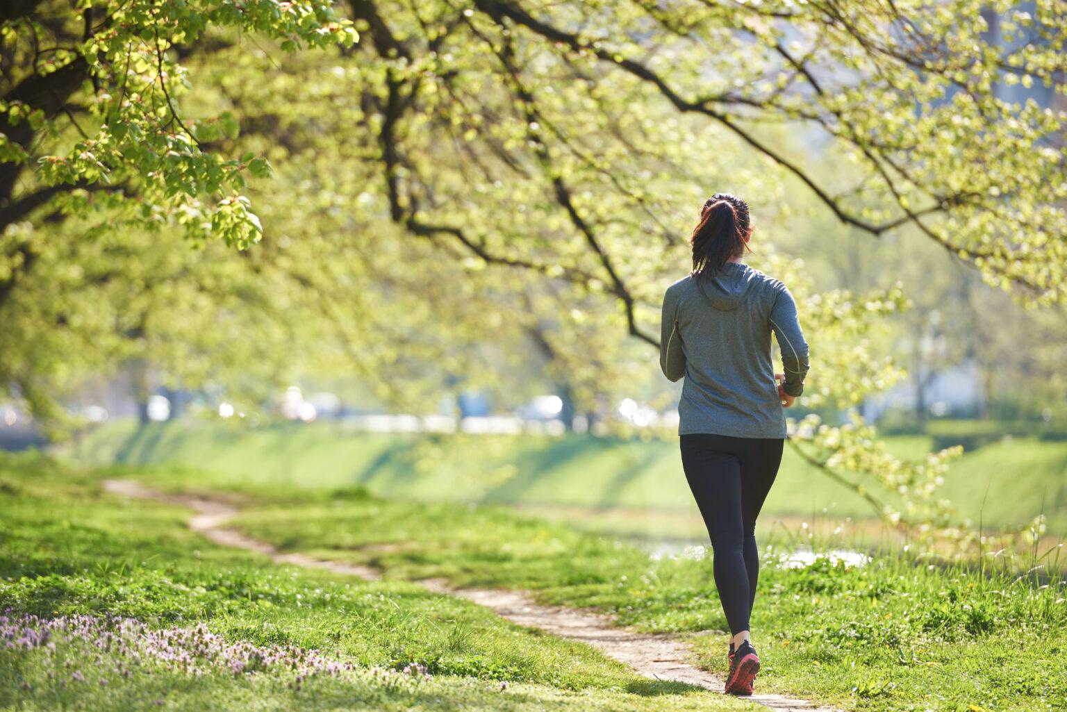 The magic of walks: harmony of the soul and inspiration!